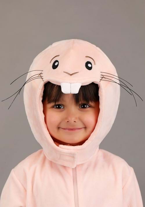 Toddler Disney Kim Possible Rufus Costume - US 3582