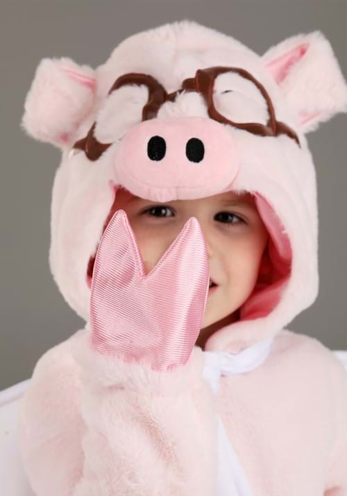 Flying Pig Costume for Toddlers - US 4823