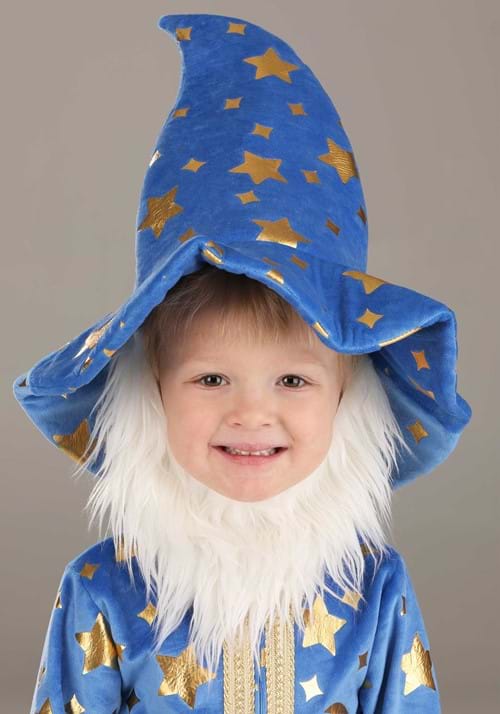 Li'l Wizard Costume for Toddlers - US 2476