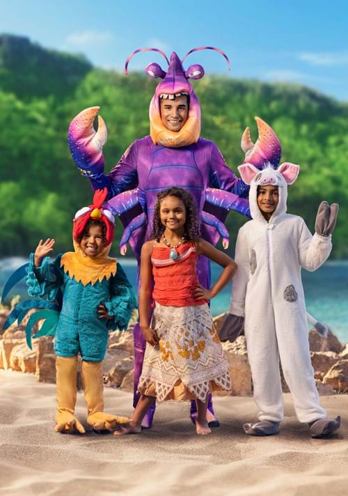 Disney Hei Hei Moana Toddler Costume - US 6146