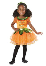 Girl's Precious Pumpkin Toddler Costume - US 7936