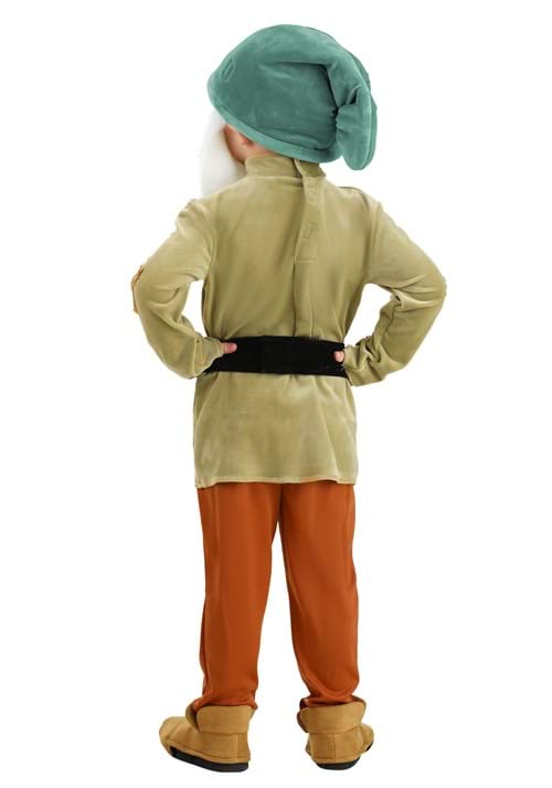 Disney Sleepy Dwarf Costume for Toddlers - US 3919