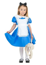 Toddler Supreme Alice Costume - US 9660