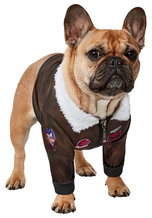Dog Costume of Top Gun - US 6025