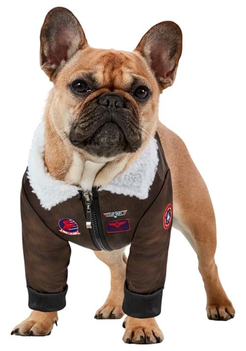 Dog Costume of Top Gun - US 6025