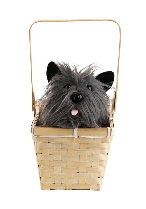 Toto in a Basket Costume Accessory - US 1901