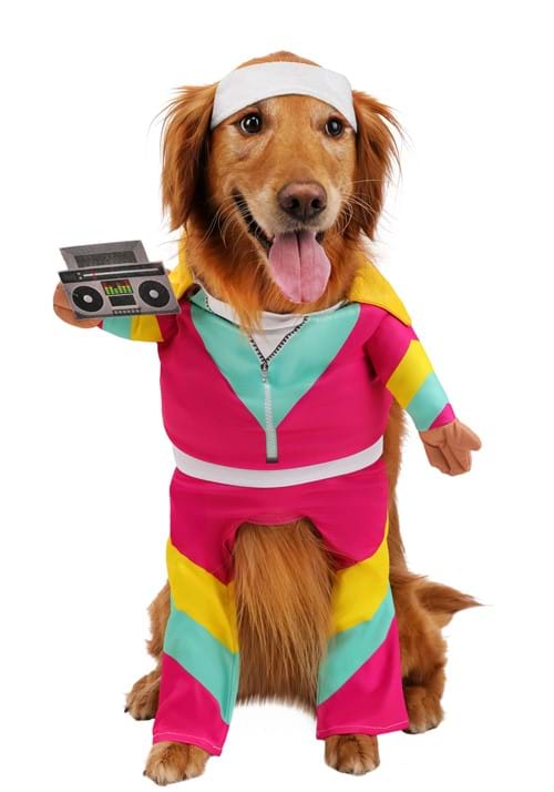 Track Suit 1980s Pet Costume - US 9074
