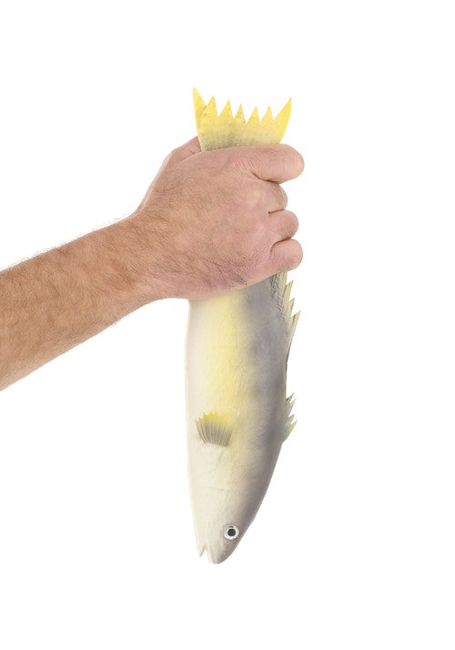 14.25-Inch Trout Rubber Fish Accessory Prop - US 3196