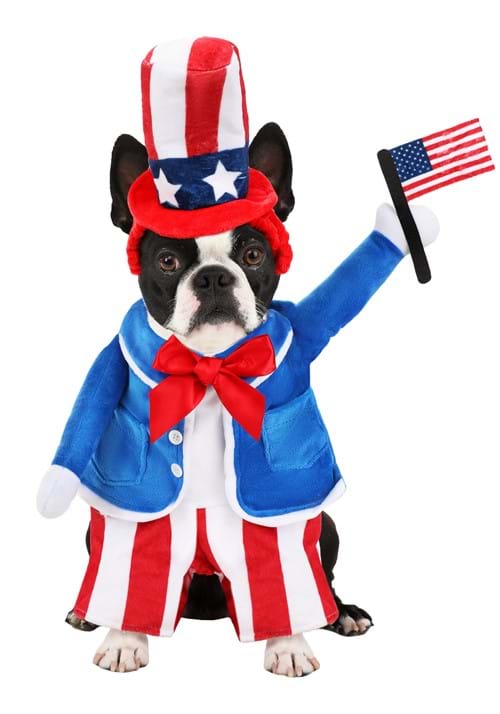 Uncle Sam 4th of July Pet Costume - US 9924