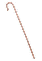 Walking Cane Accessory - US 5807