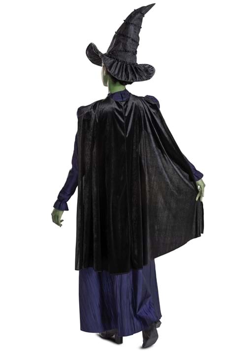 Wicked Deluxe Elphaba Costume for Women - US 4145