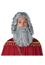 Men's Wise Man Costume Gray Wig and Beard Set - US 1557
