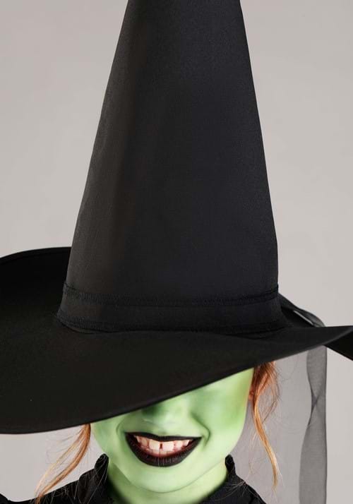 Wizard of Oz Girl's Wicked Witch Costume Dress - US 4208