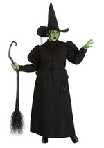 Women's Plus Size Wizard of Oz Wicked Witch Costume Dress - US 2851