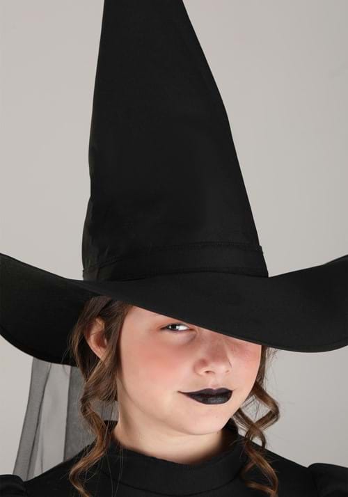 Girl's Wizard of Oz Toddler Wicked Witch Costume - US 5161