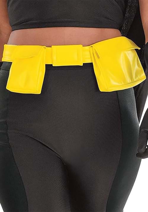 Women's DC Comics Batman Costumes - US 1433