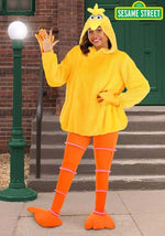 Women's Sesame Street Cozy Big Bird Costume - US 4291