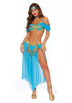 Genie's Delight Costume for Women - US 7319