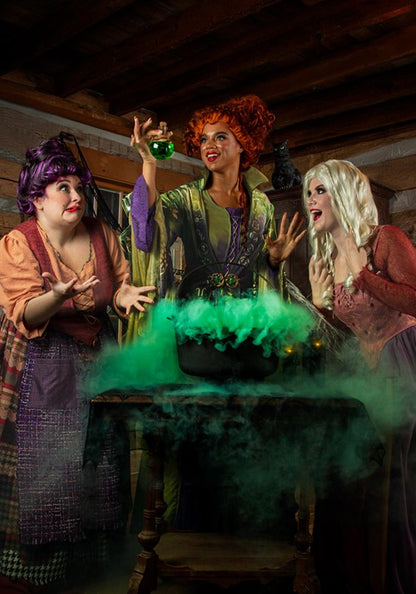 Mary Sanderson Costume for Plus Size Women from Disney’s Hocus Pocus - US 4567