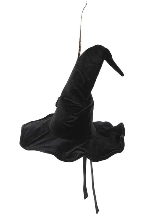 Harry Potter Women's Professor McGonagall Costume Hat - US 3678