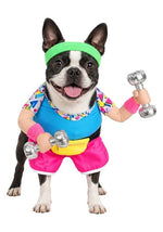 Work Out 1980s Costume for Pets - US 9328