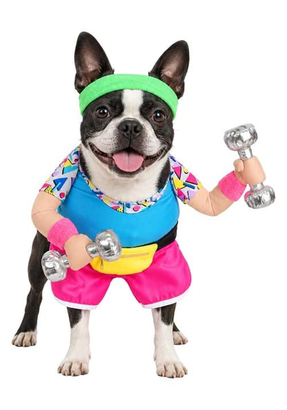 Work Out 1980s Costume for Pets - US 9328